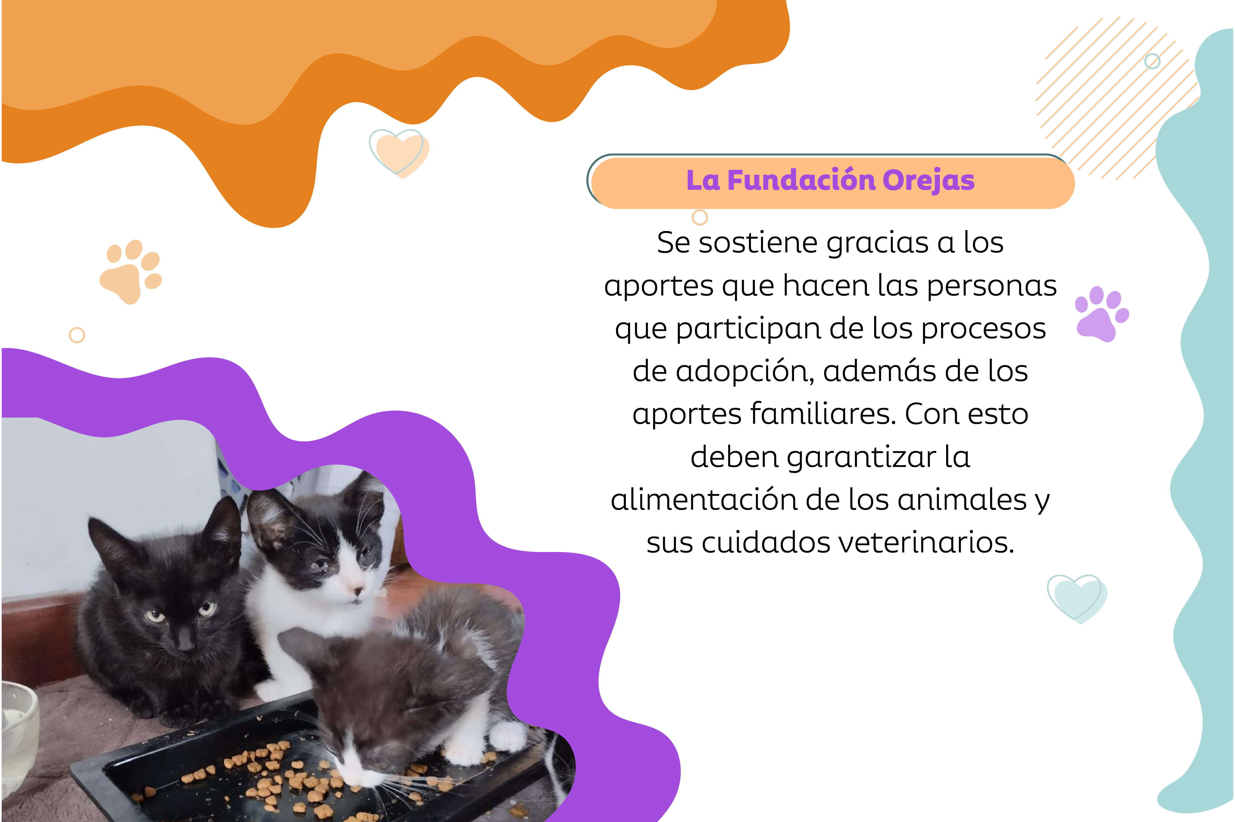 La Fundación se sostiene con dineros propios y con los aportes de las personas que adoptan mascotas.