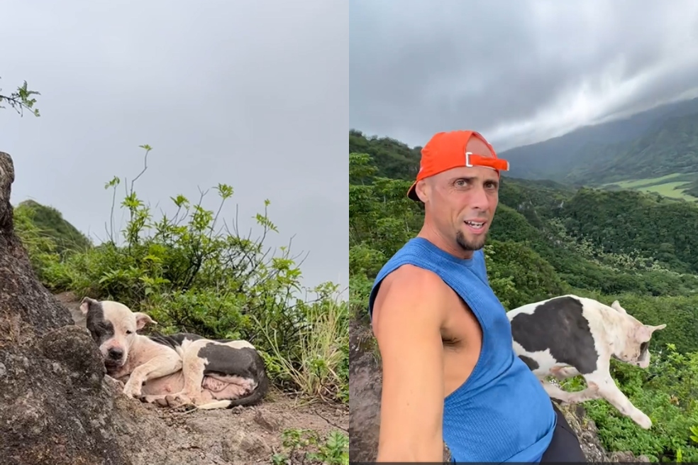 Excursionista rescata a un perro perdido de caer de un sendero.