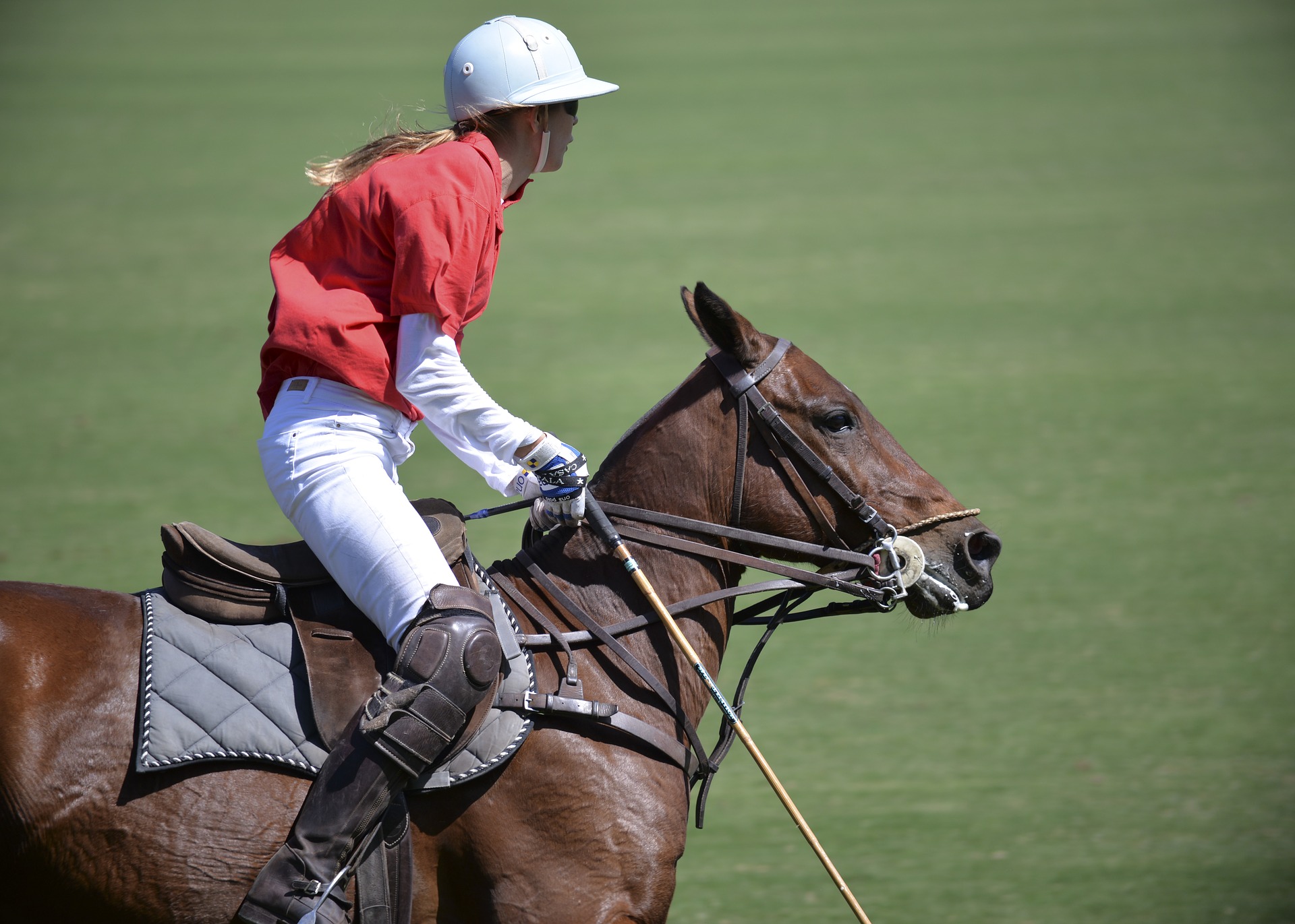 El polo es uno de los deportes que se practican en Florida, Estados Unidos.