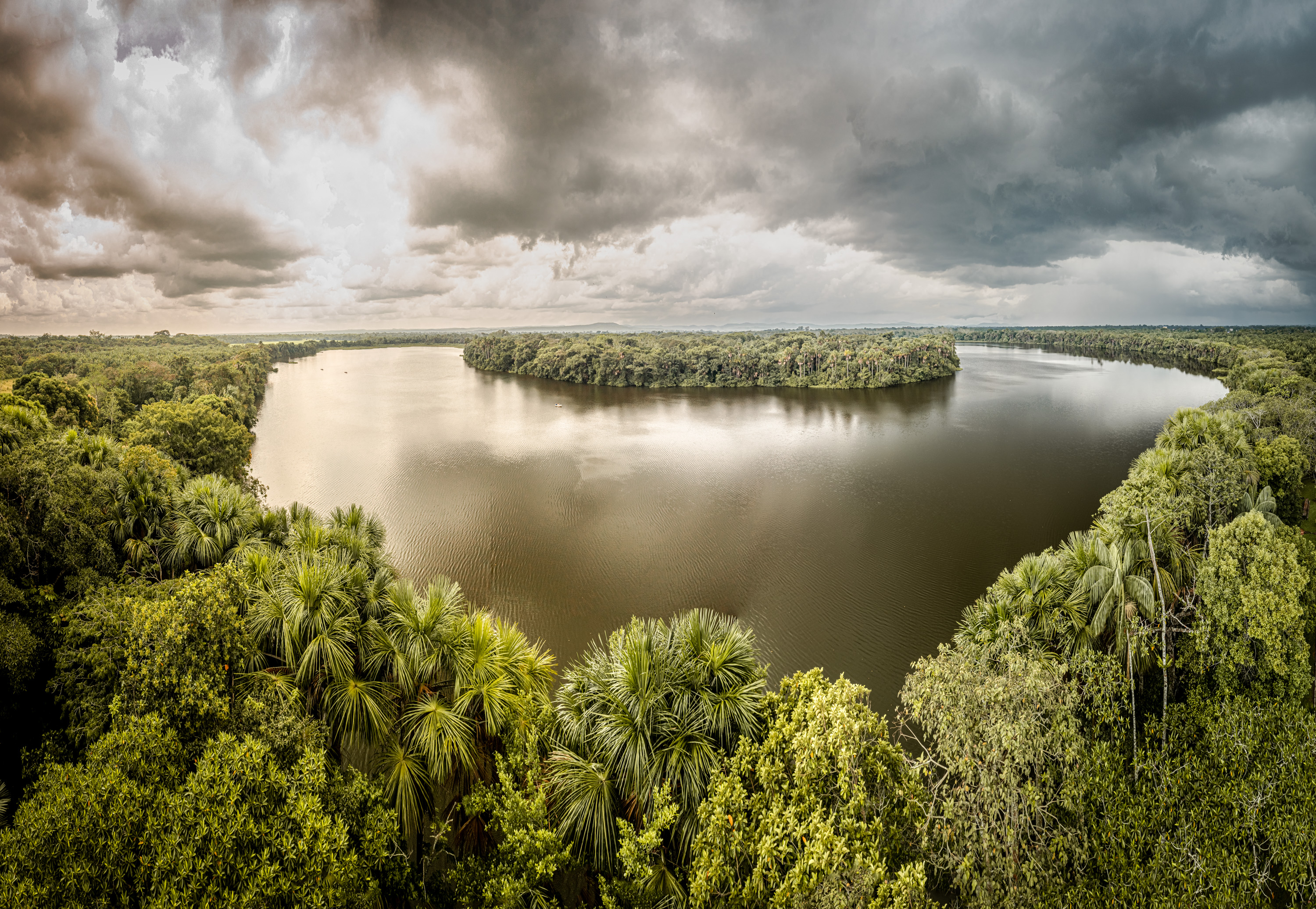 Negocios y biodiversidad: además de la narrativa, ¿qué más debe cambiar?
