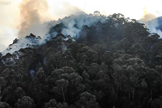 Autoridades recomiendan uso de tapabocas en inmediaciones del incendio de los cerros