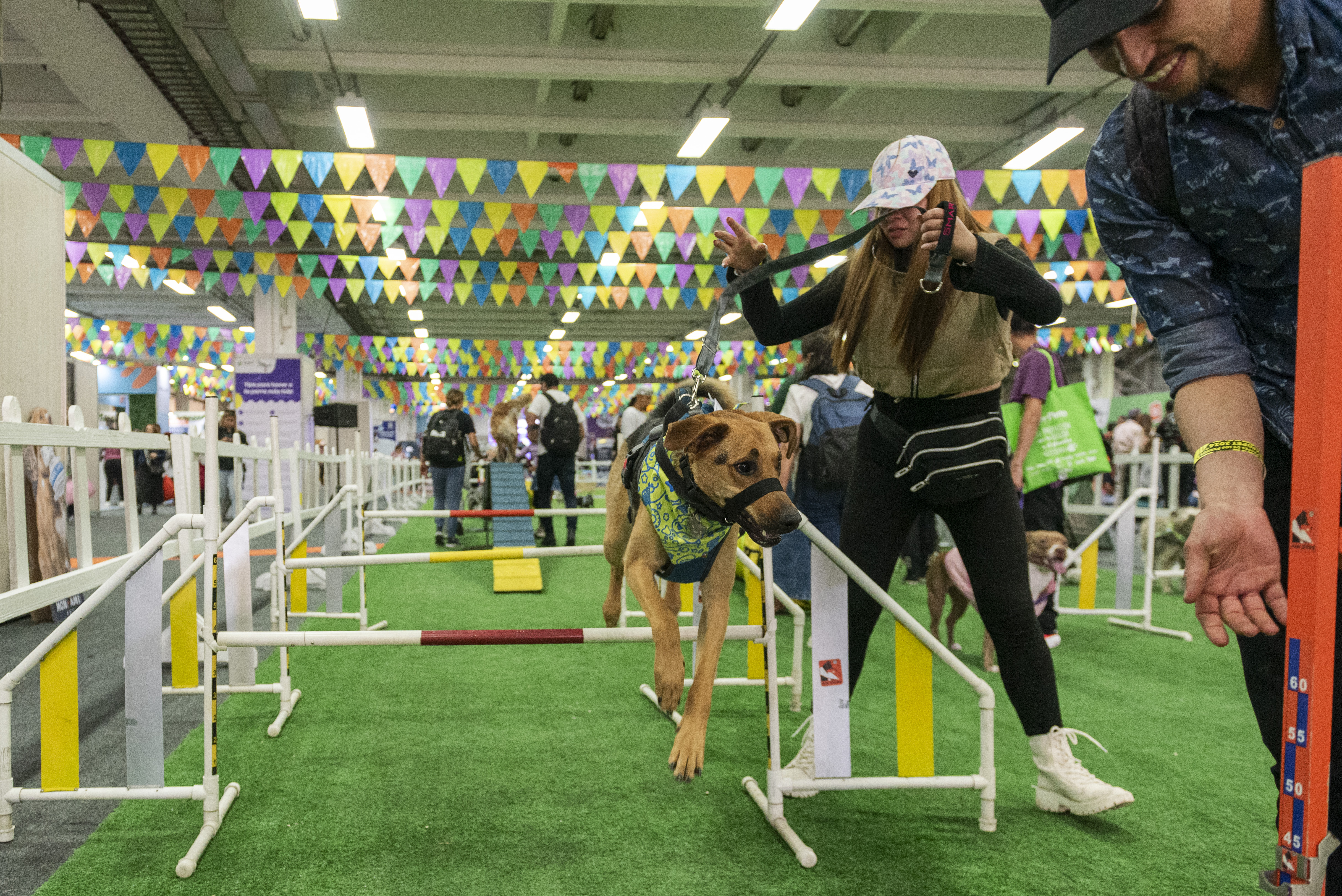 Expopet 2025: Bogotá vivirá la mayor feria  para amantes de los animales