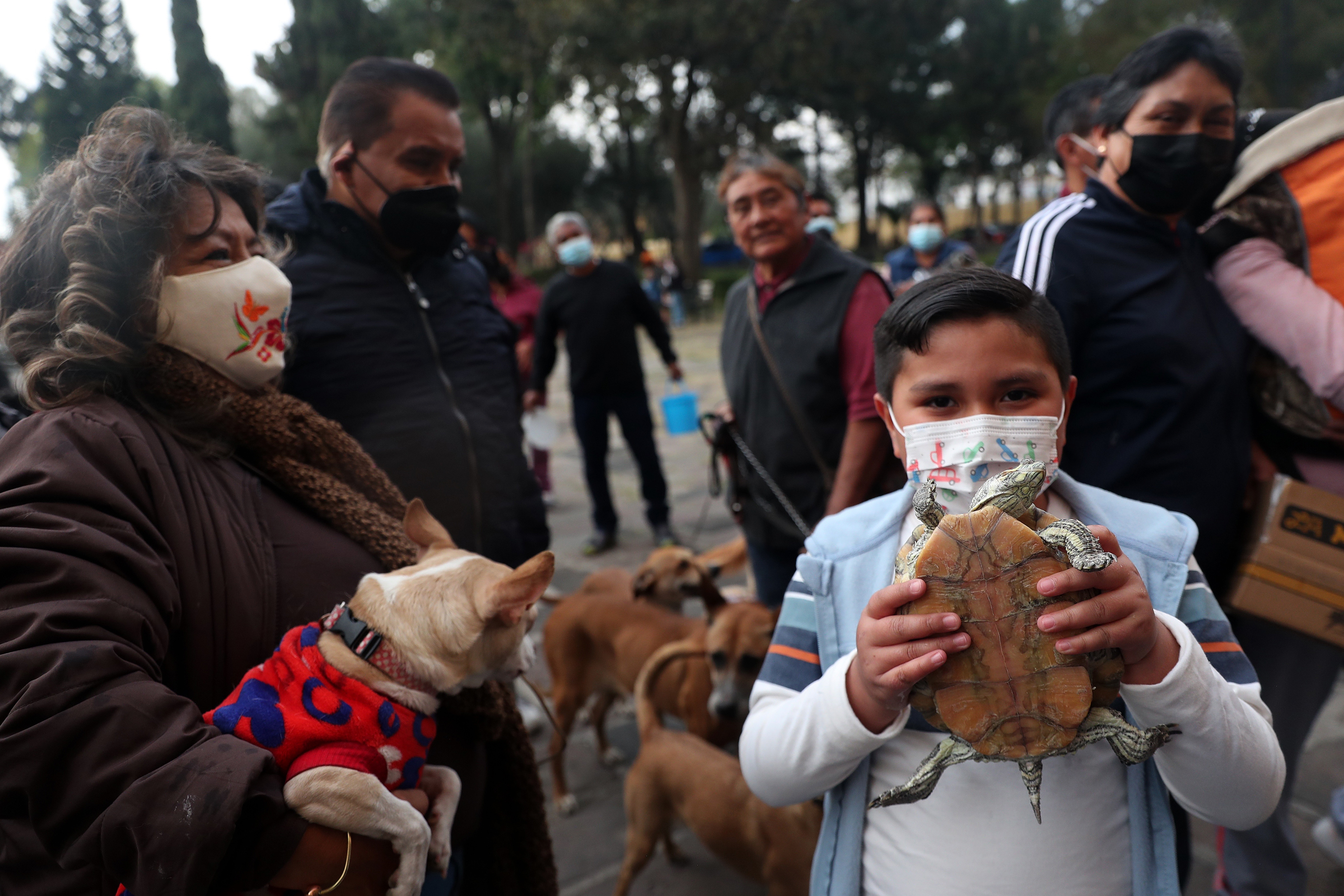 MEX4380. CIUDAD DE MÉXICO (MÉXICO), 17/01/2023.- Personas llevan a sus mascotas a bendecir en el marco de los festejos de San Antonio Abad, hoy, en Ciudad de México (México). Como si de una pasarela se tratara, cientos de mascotas y animales de campo desfilaron, con sus mejores vestidos, collares y hasta con gafas de sol, por el atrio de la iglesia de San Antonio Abad, quien es recordado como el santo protector de los animales y cuyo santoral se celebra este martes 17 de enero. EFE/Sáshenka Gutiérrez