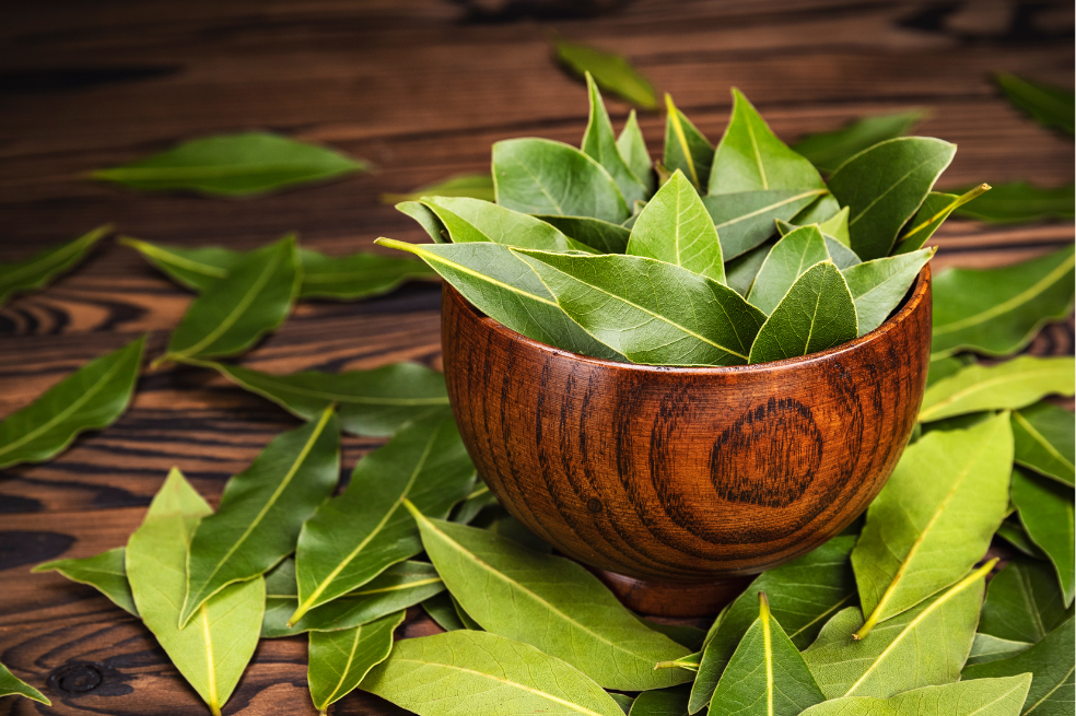 Hojas de laurel: para qué sirven, beneficios y usos más comunes