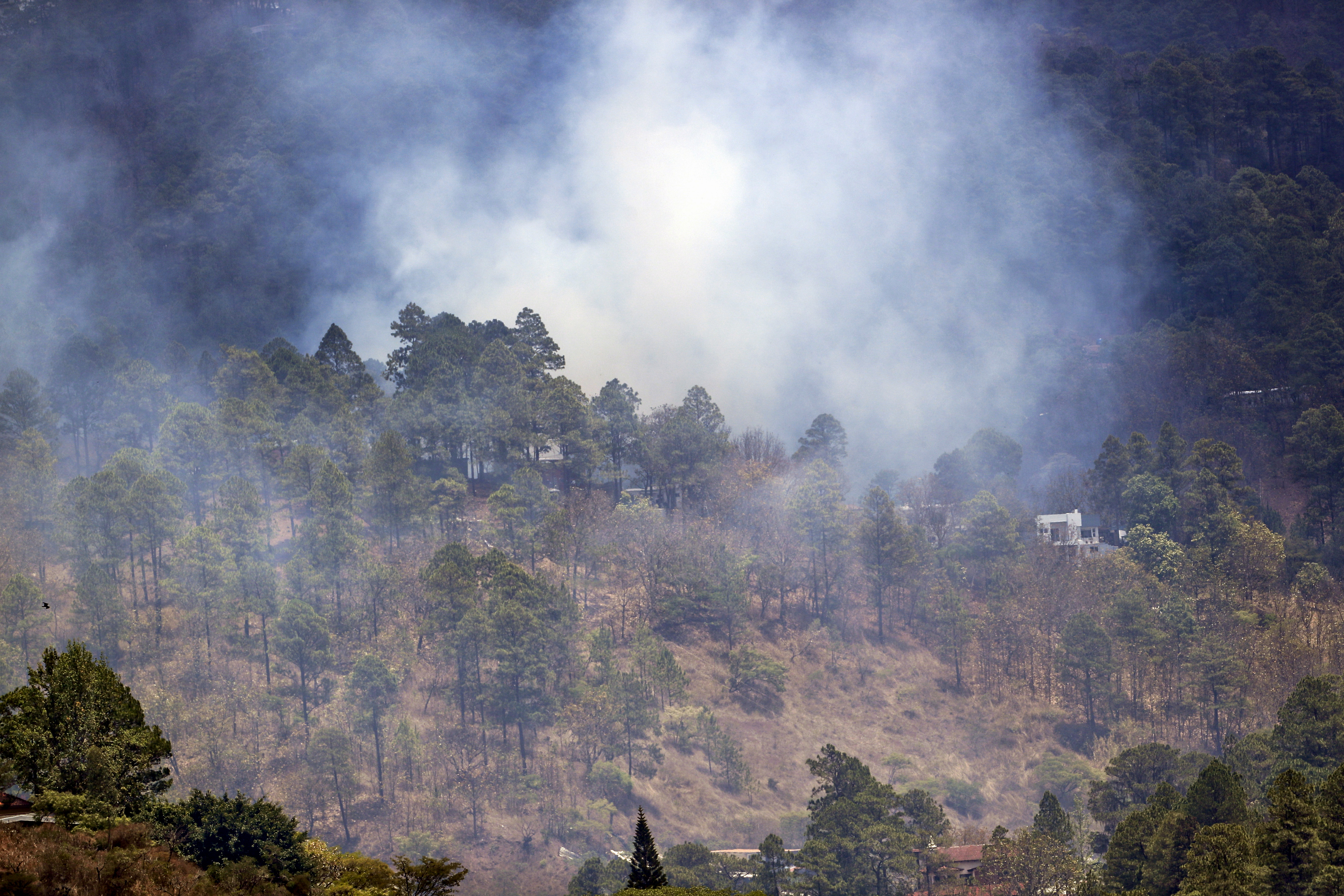 El factor que estaría agravando los incendios forestales a nivel mundial