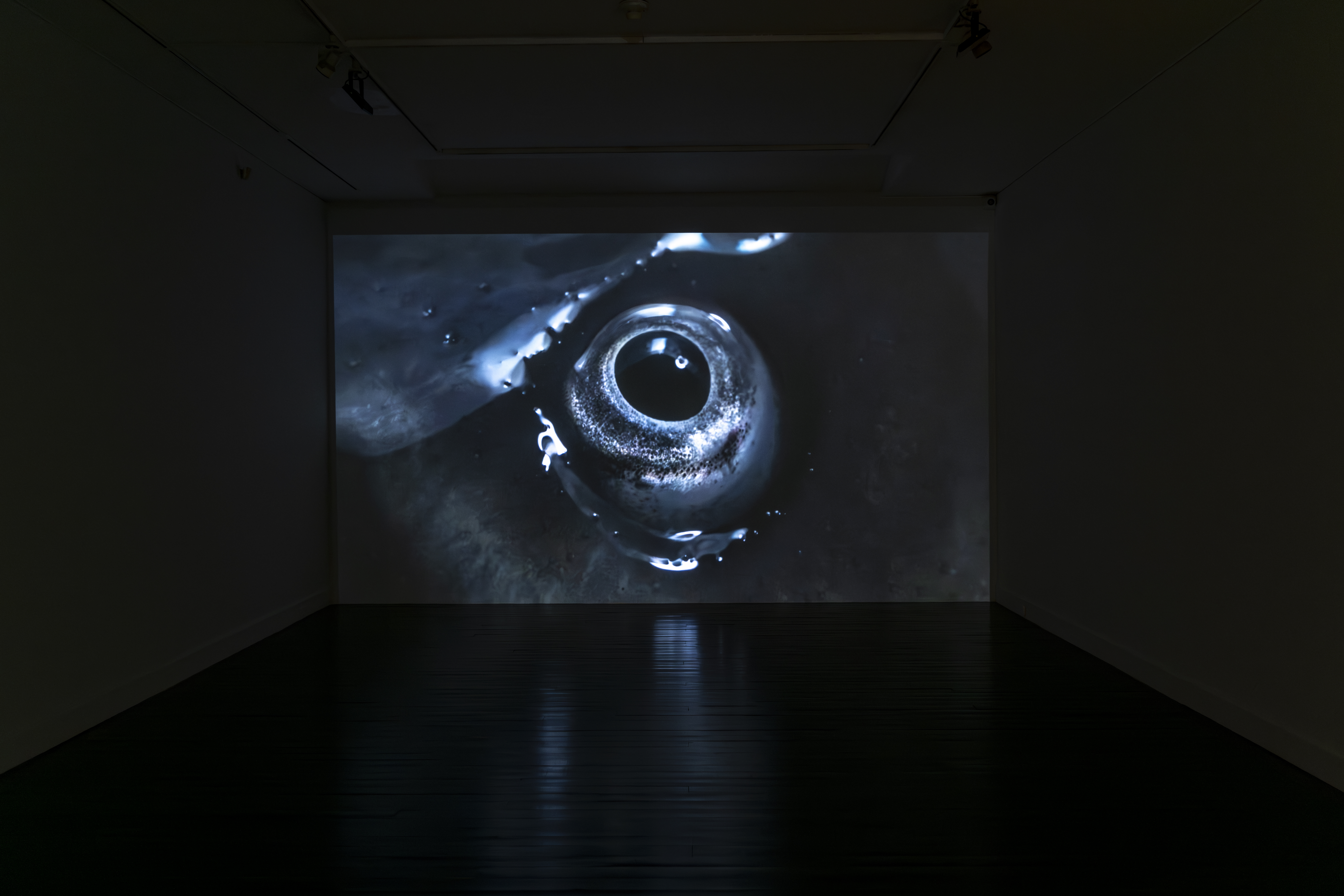 Una de las obras exhibidas en “Manto, ‘el velo que cubre la piedra’”.