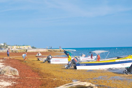 Detenidos en San Andrés 16 extranjeros por pesca ilegal