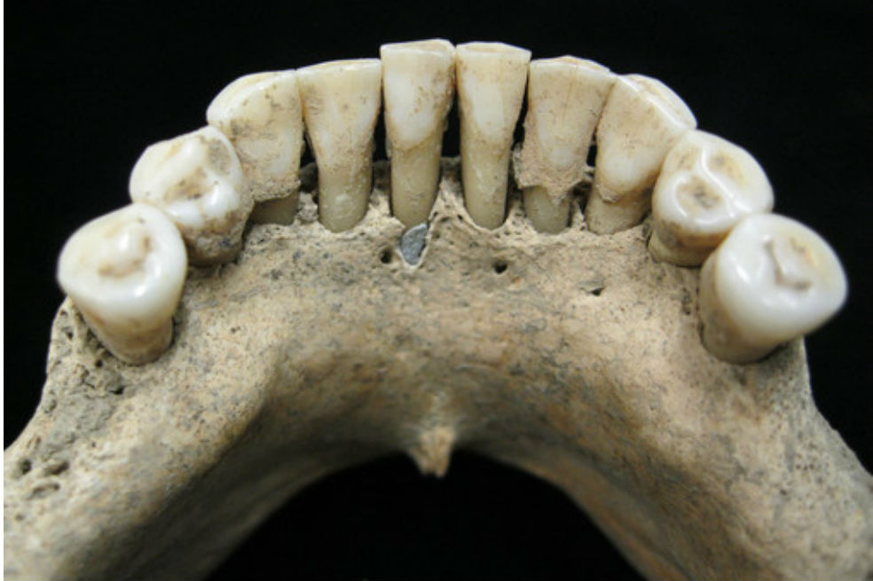 Gracias a sus dientes, descubren a la primera ilustradora medieval