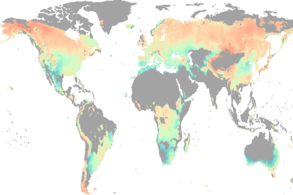 La sequía ya es la principal limitación del crecimiento de los bosques en todo el mundo