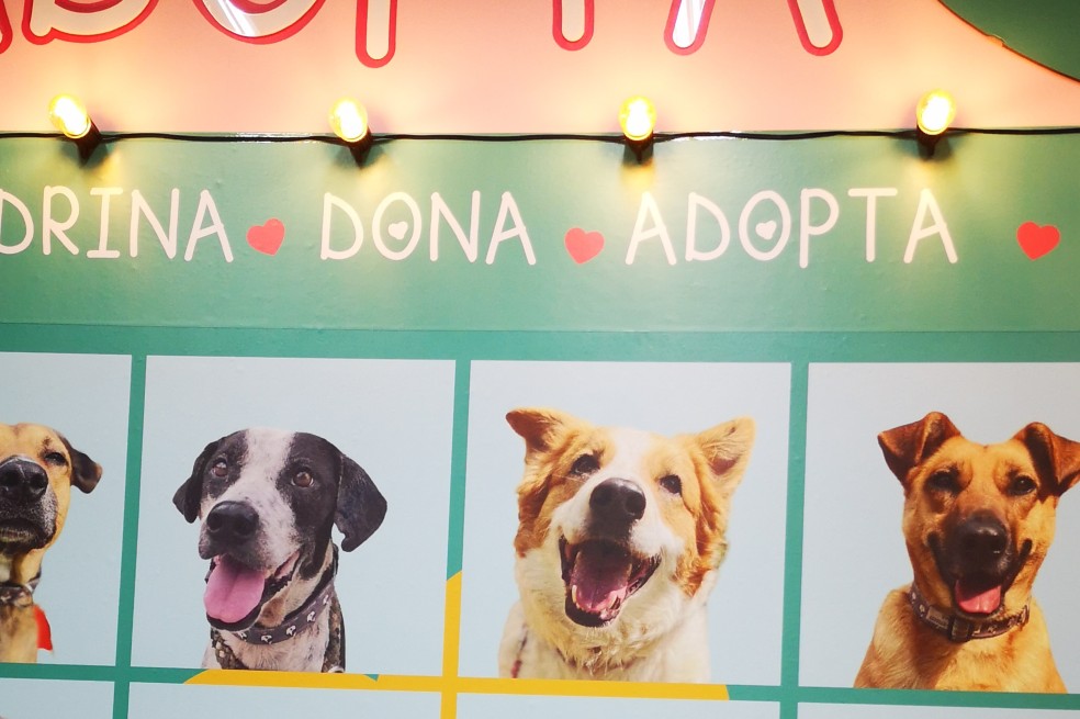 Alma Perruna: así es como las segundas oportunidades salvan almas de cuatro patas