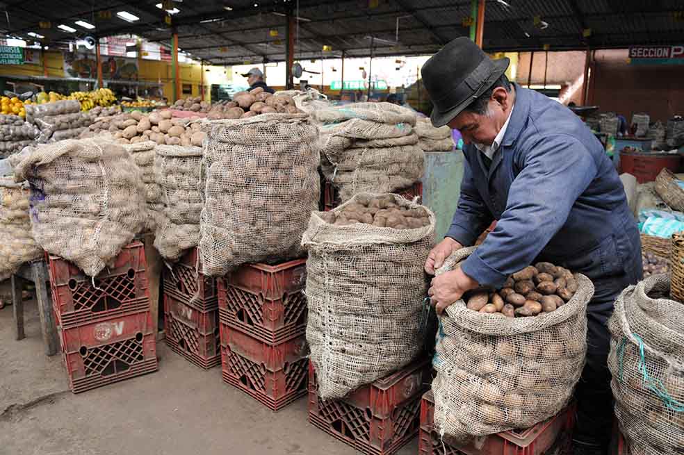 Conozca los puntos de Bogotá donde podrá participar de la “Papatón” este fin de semana