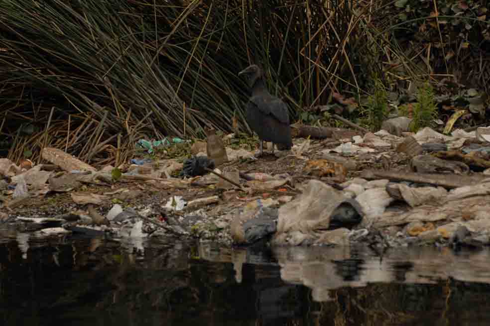 Ultimátum por el río Bogotá