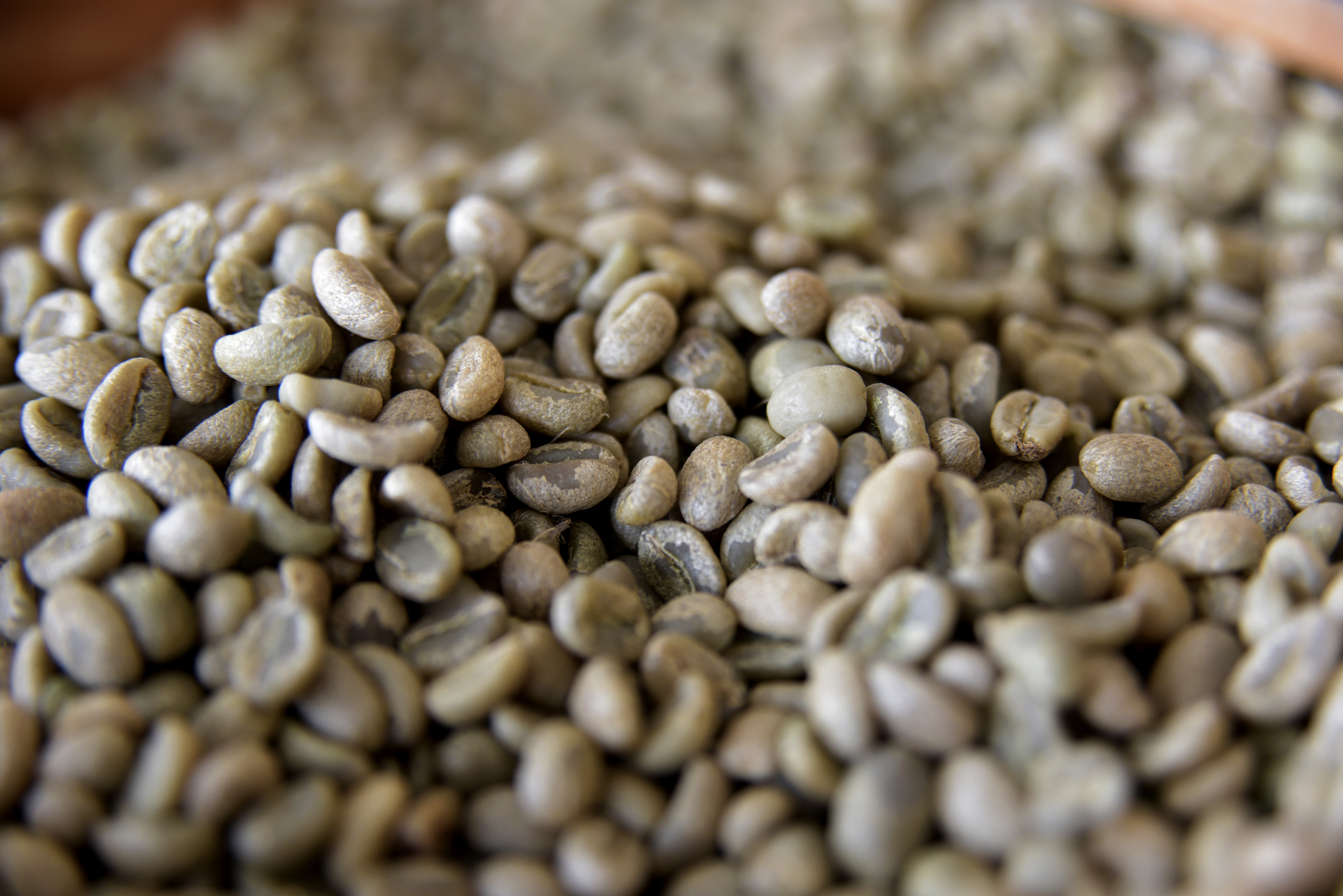 Producción de café cayó 22,5% en mayo