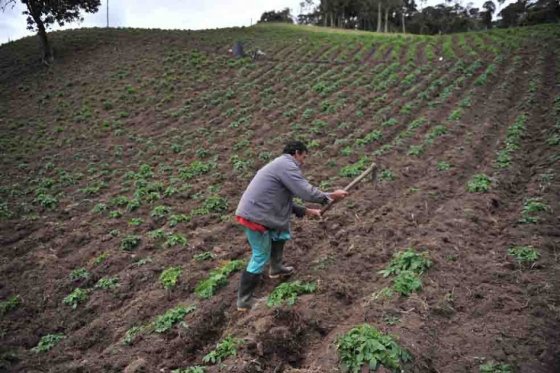 Para recuperar la vocación agrícola
