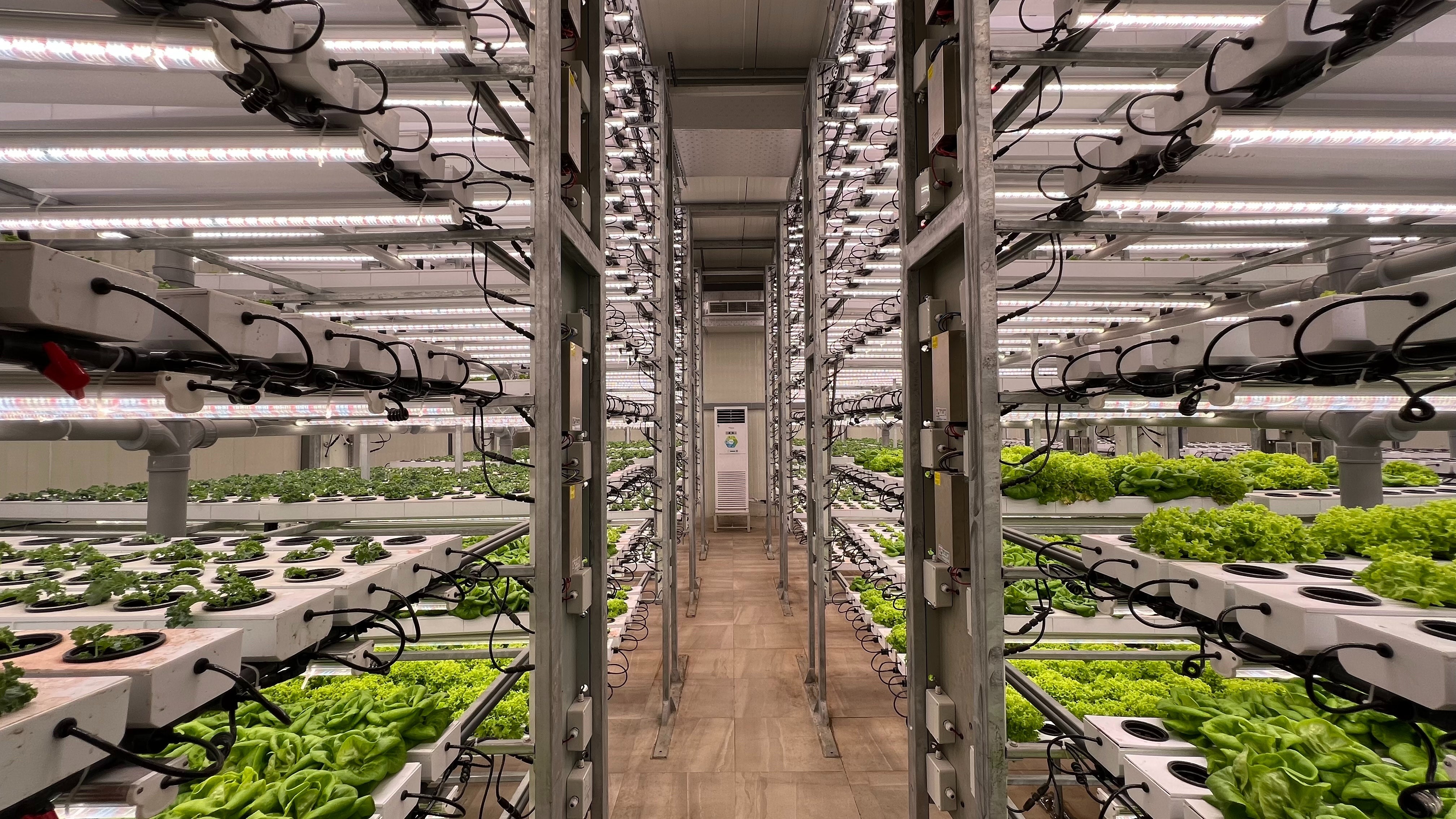 Están buscando emprendimientos innovadores en alimentación