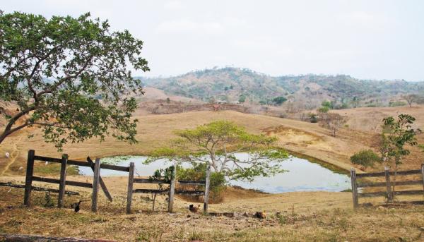 Tierras, un capítulo a escribir en la JEP