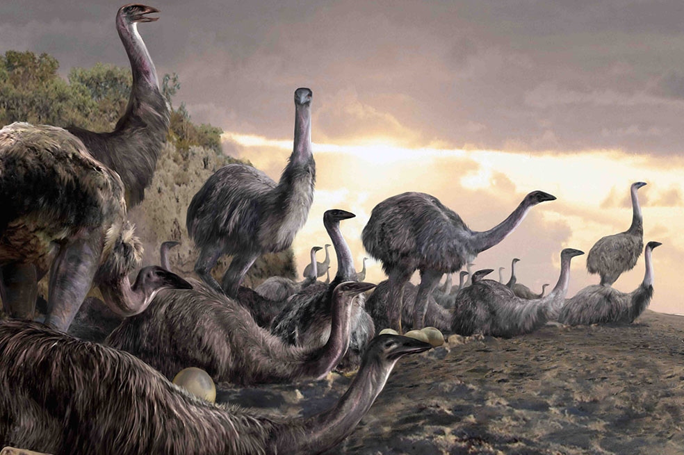 ¿Qué le ocurrió a los animales gigantes que alguna vez vivieron en Madagascar?