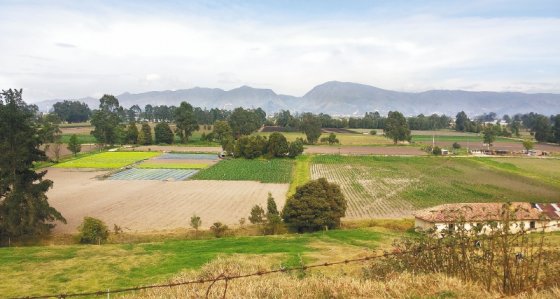 Thomas van der Hammen, ¿de reserva ambiental a urbanización?