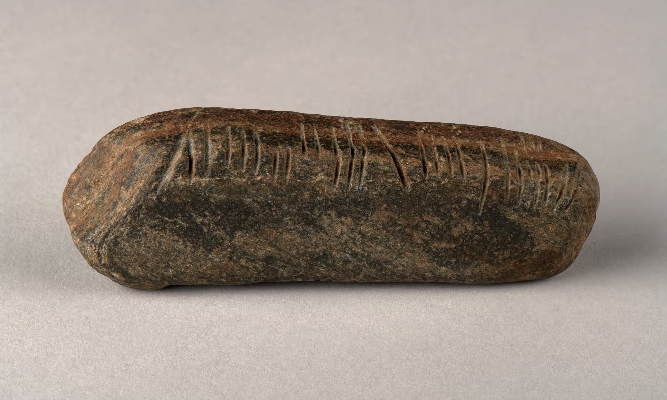 La piedra se encontraba cubierta por maleza.