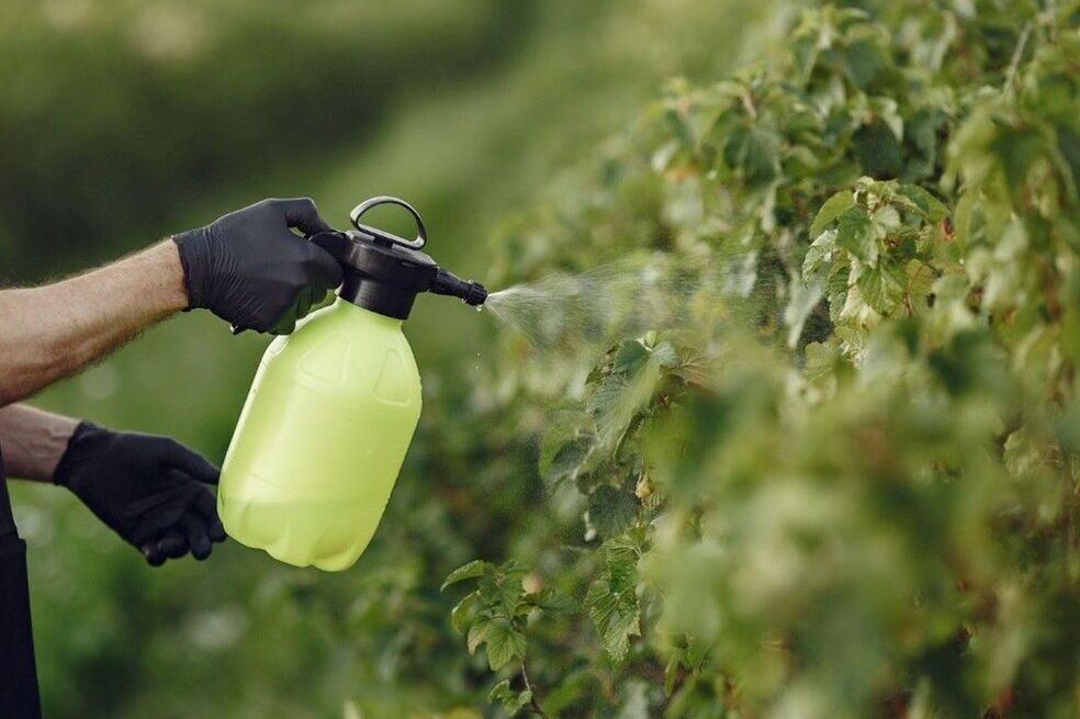 Los Plaguicidas suelen usarse en zonas verdes, fachadas, jardines, entre otros espacios abiertos.