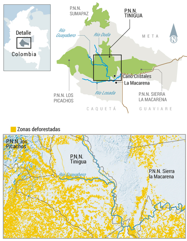 Una colonización dirigida