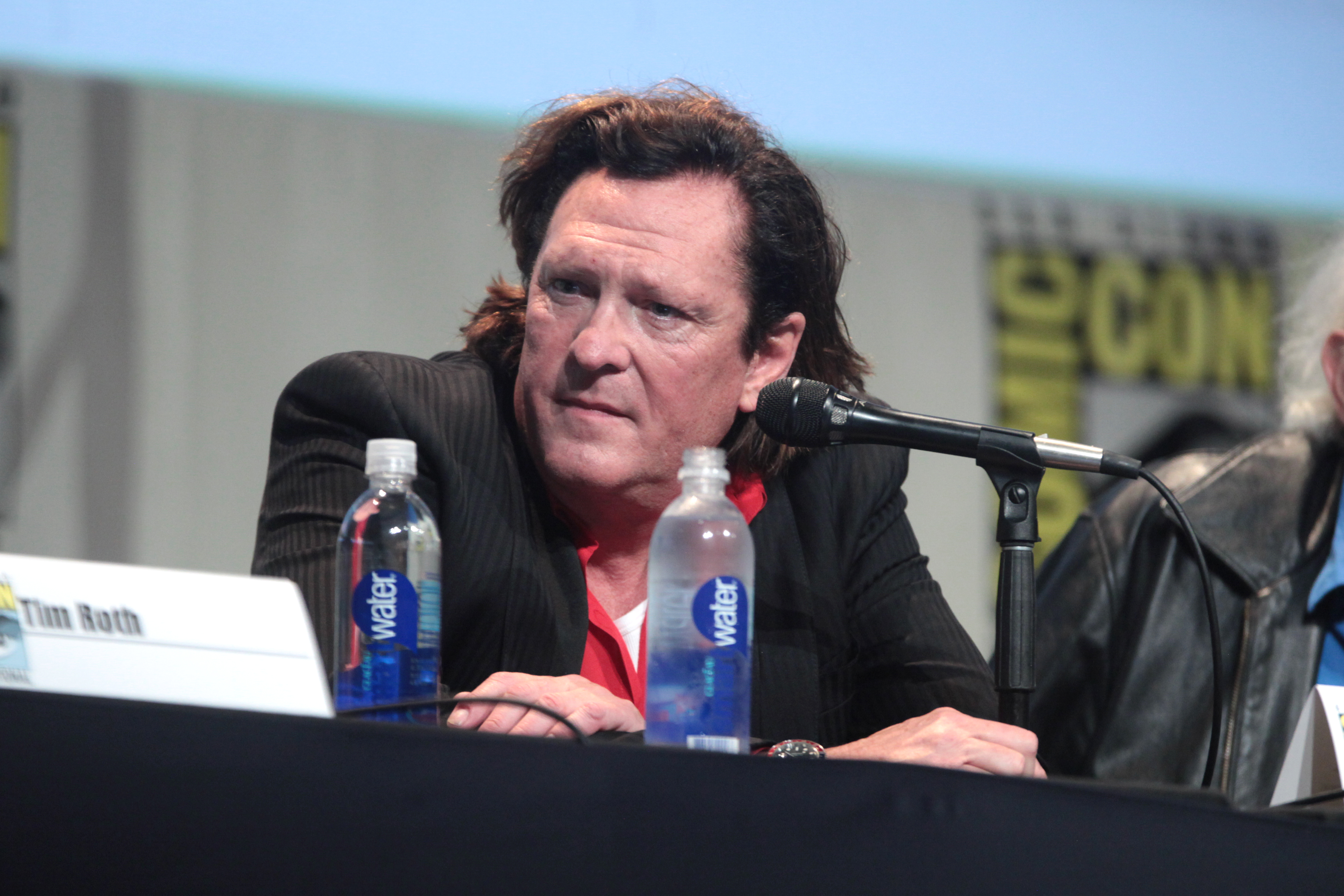 Michael Madsen, actor de películas de Tarantino, detenido por violencia doméstica