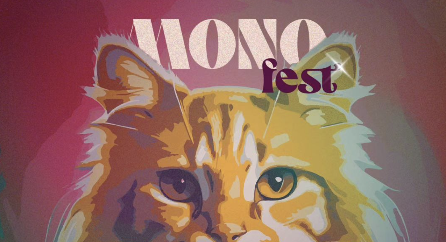Mono Fest: un concierto que beneficiará a 500 animales abandonados en Medellín