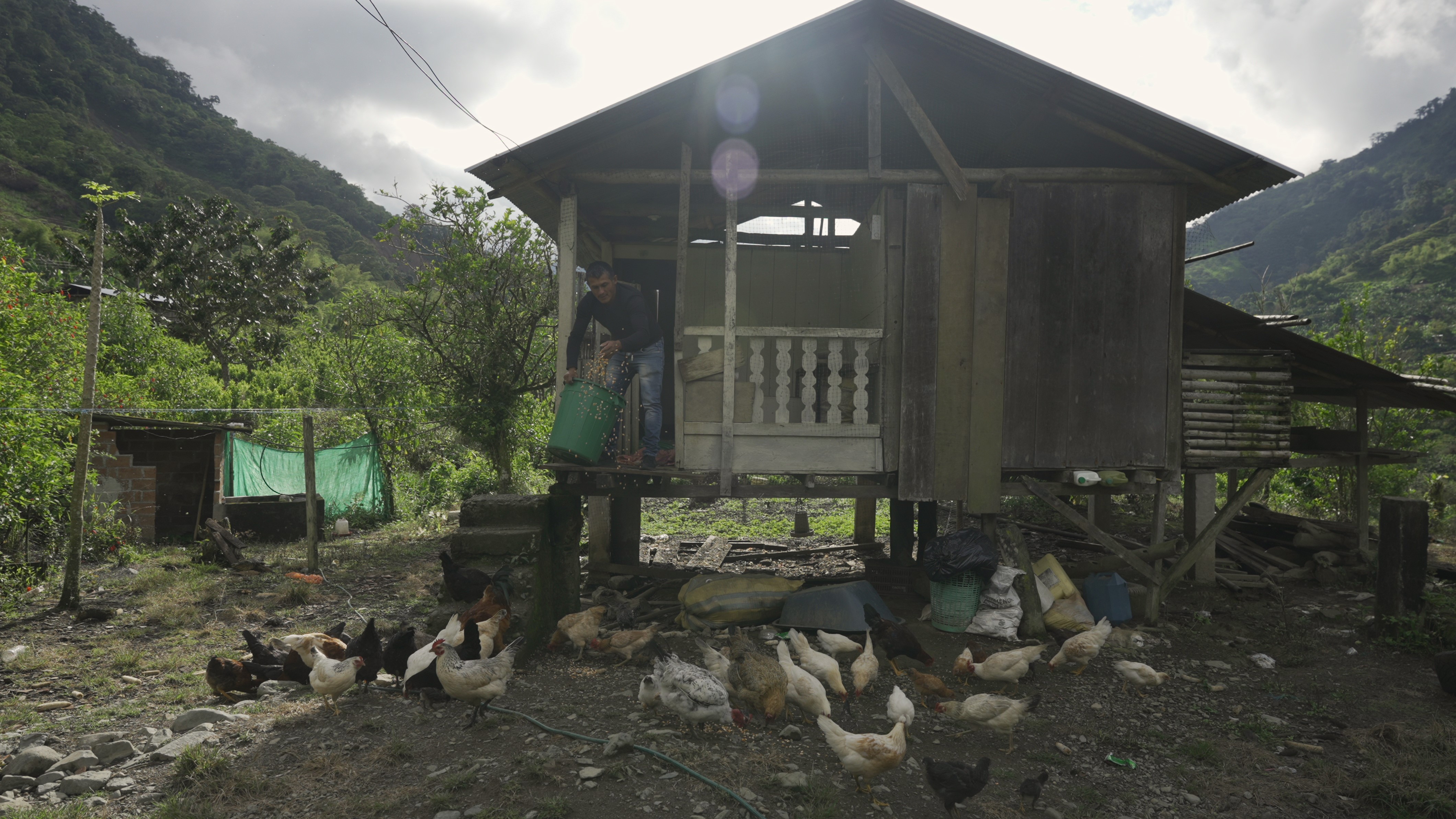 A pesar de las dificultades de seguridad, por la presencia del Eln y cultivos de coca; el mal estado de las vías y el abandono estatal, la población de Tallambí le apuesta a la agricultura.