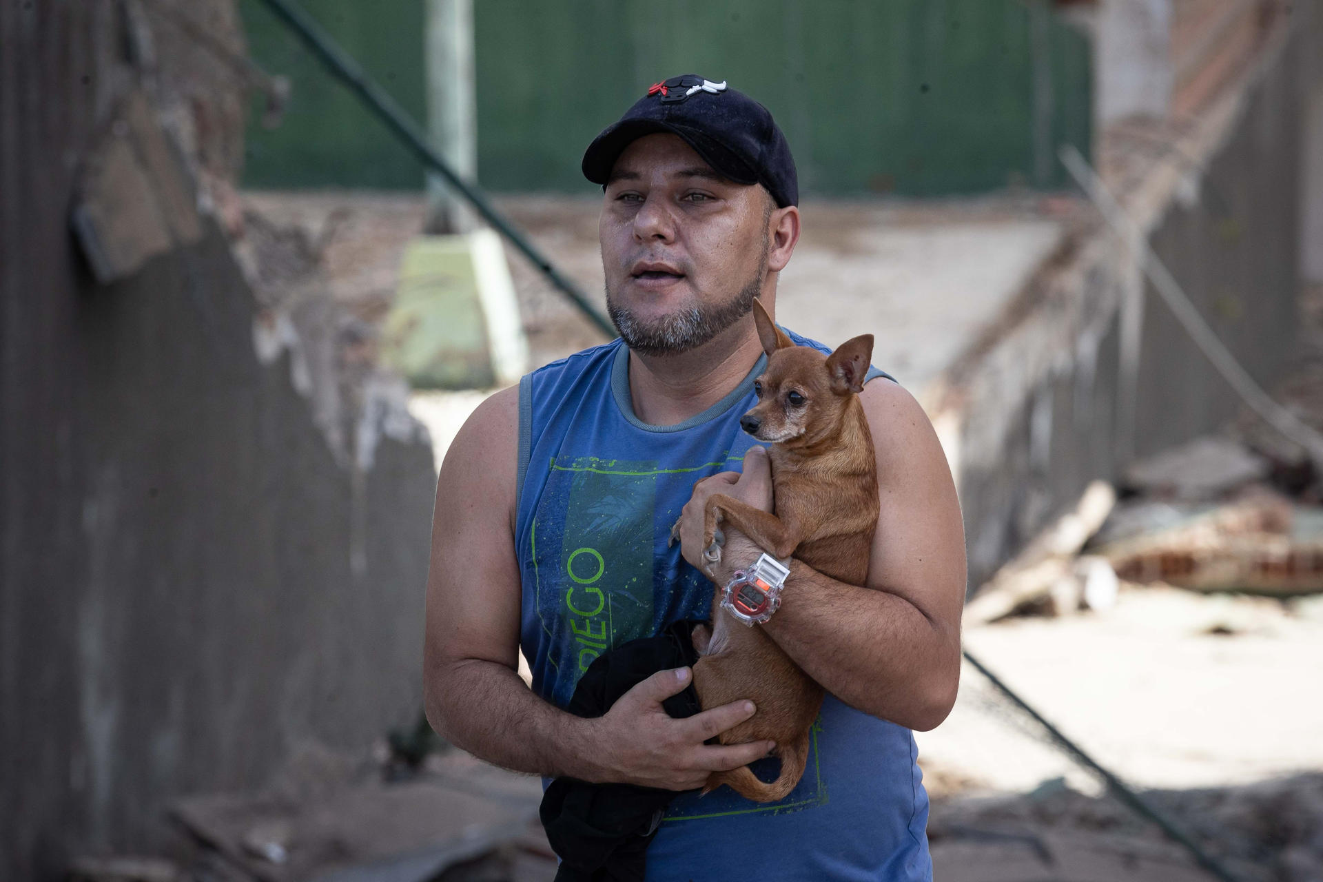 Patitas a Salvo: guía para buscar y ayudar mascotas tras los terremotos en Venezuela