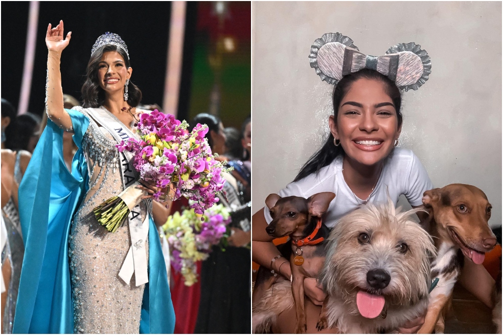 Sheynnis Palacios, Miss Universo 2023, es rescatista de perros y gatos callejeros