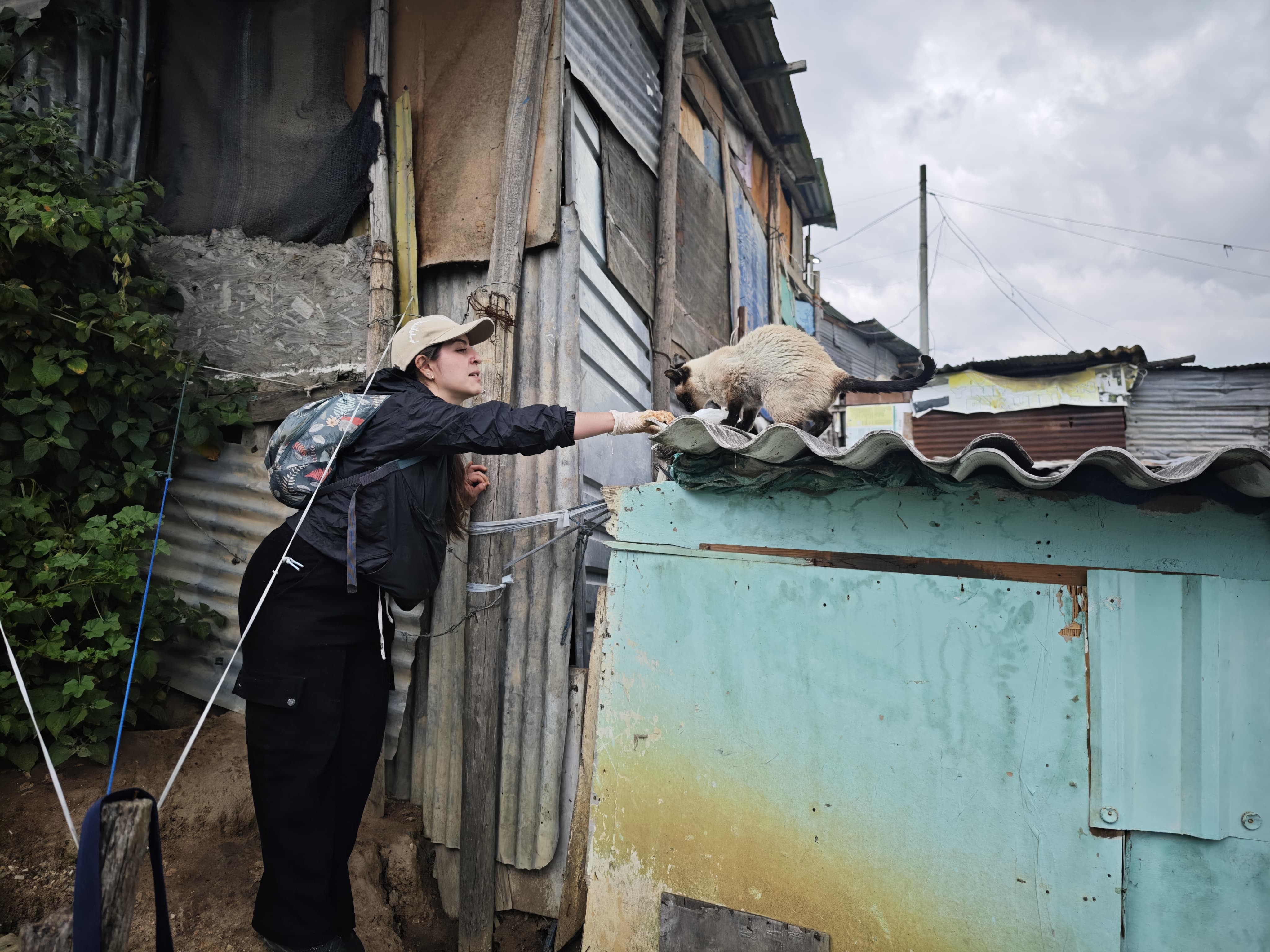 Así es recorrer Bogotá alimentando perros y gatos que sobreviven en la calle