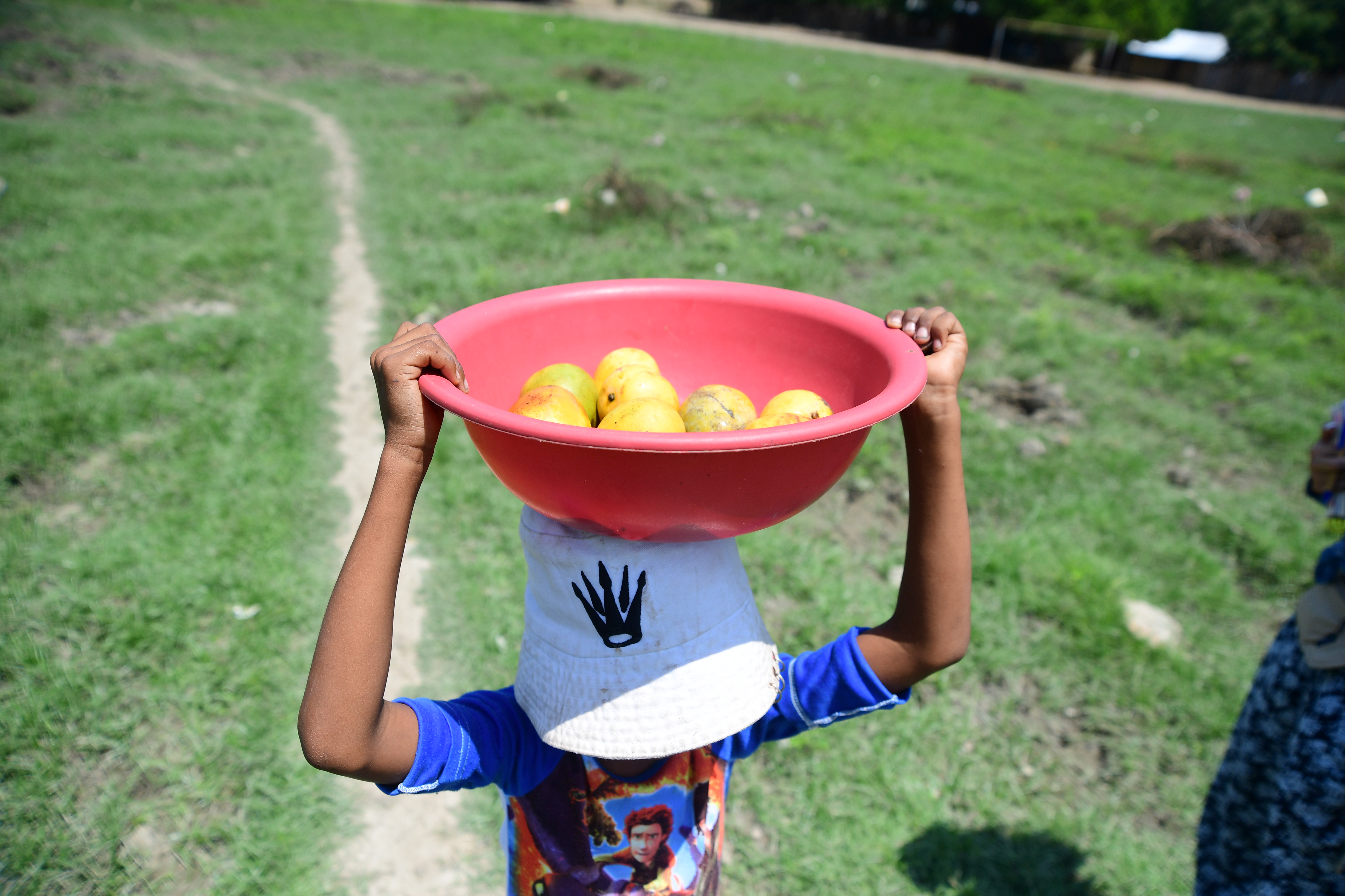 Los niños del campo colombiano crecen menos que los de las ciudades