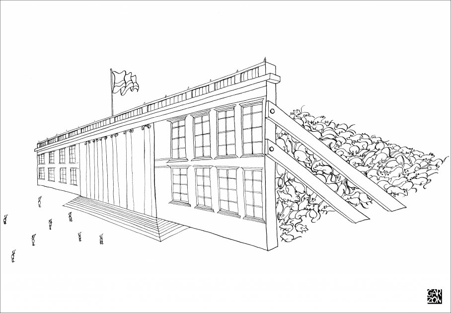 Cartones de Garzón
