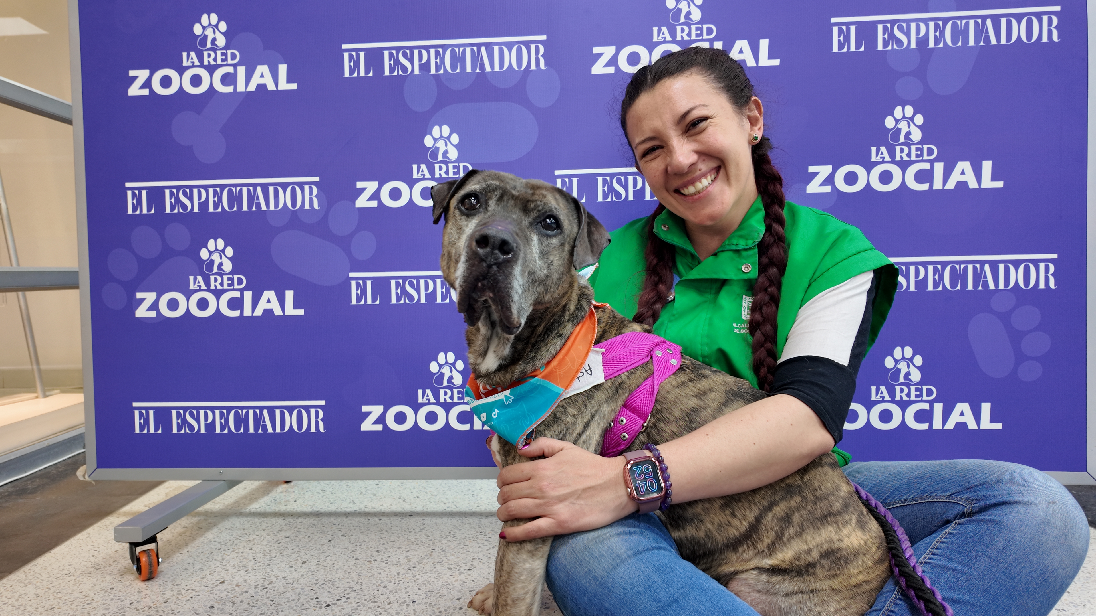 Conozca a Astra: sobrevivió a un ataque brutal y aún espera familia en el IDPYBA