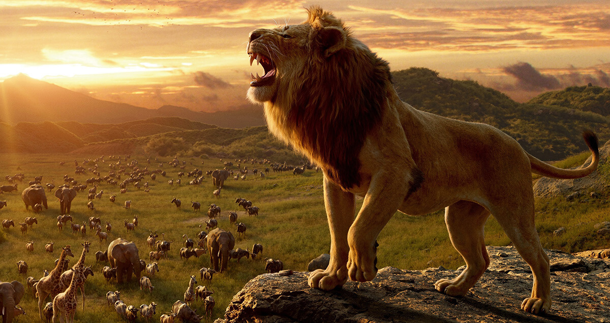 ¿Qué significa Hakuna Matata? Hablemos de expresiones en el cine