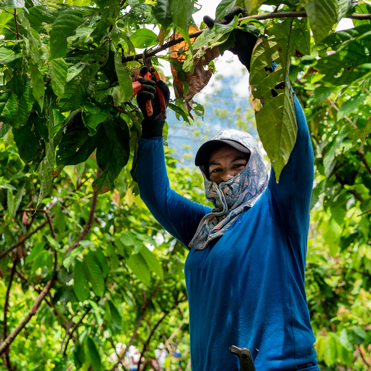 ¿El PIB refleja la situación real del agro?: polémica por datos del DANE
