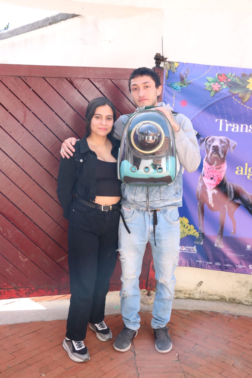 Para los gatos también puede ser adecuado tener una maleta especial para su transporte. Recuerde que esta debe contar con la ventilación necesaria para que el animal no tenga ningún inconveniente.