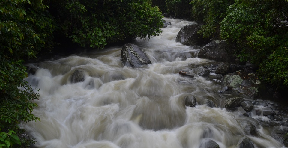 Las personas que deseen ingresar al área protegida podrán hacerlo por ahora en el sendero Montebello, ubicado en el municipio de Pueblo Rico, Risaralda, único lugar autorizado. Para el proceso de reapertura progresiva del Parque se tienen establecidas tres fases más. 
Los que deseen visitar en pasadía el área protegida podrán hacerlo desde las 6:00 a.m.  y hasta las 5:00 p.m. teniendo en cuenta que para esto debe realizar previa reserva con la operadora ecoturística Montezuma Rainforest.