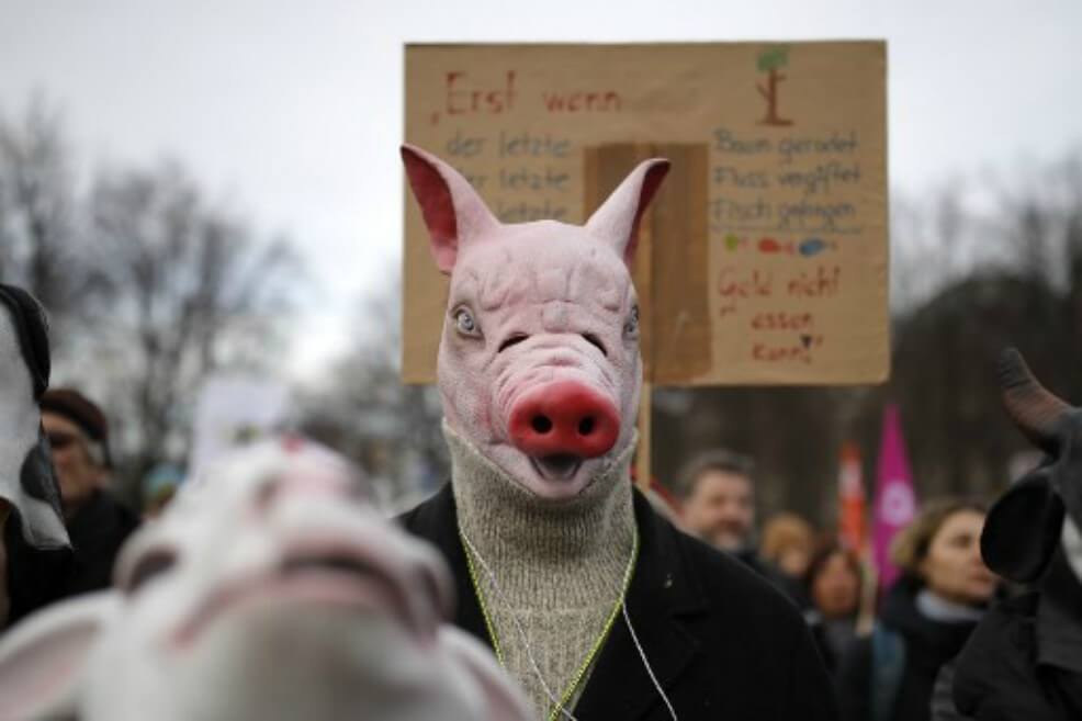 Agricultores y ecologistas chocan en Alemania, otra señal de la crisis ambiental