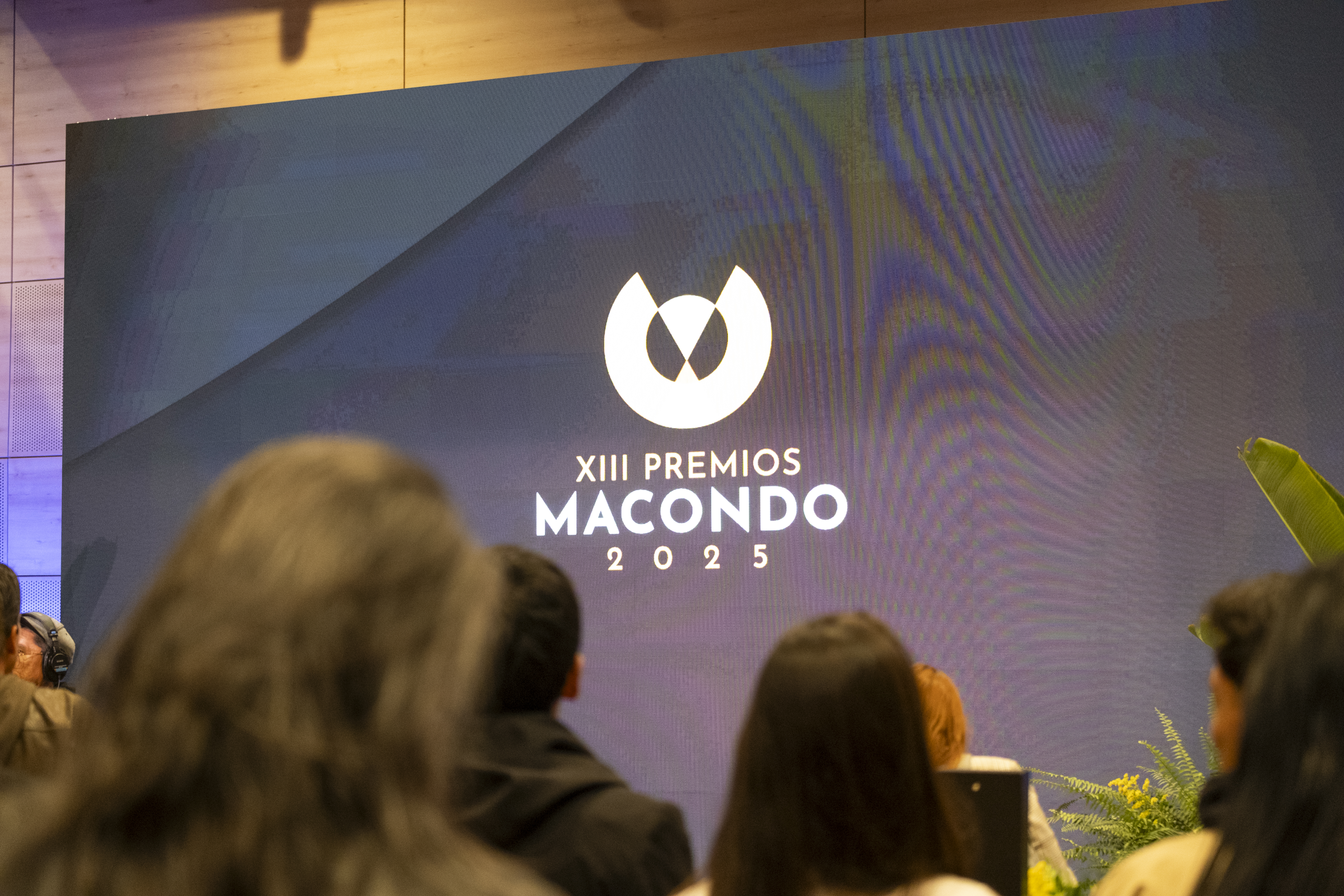 Estos son todos los nominados a los Premios Macondo 2025