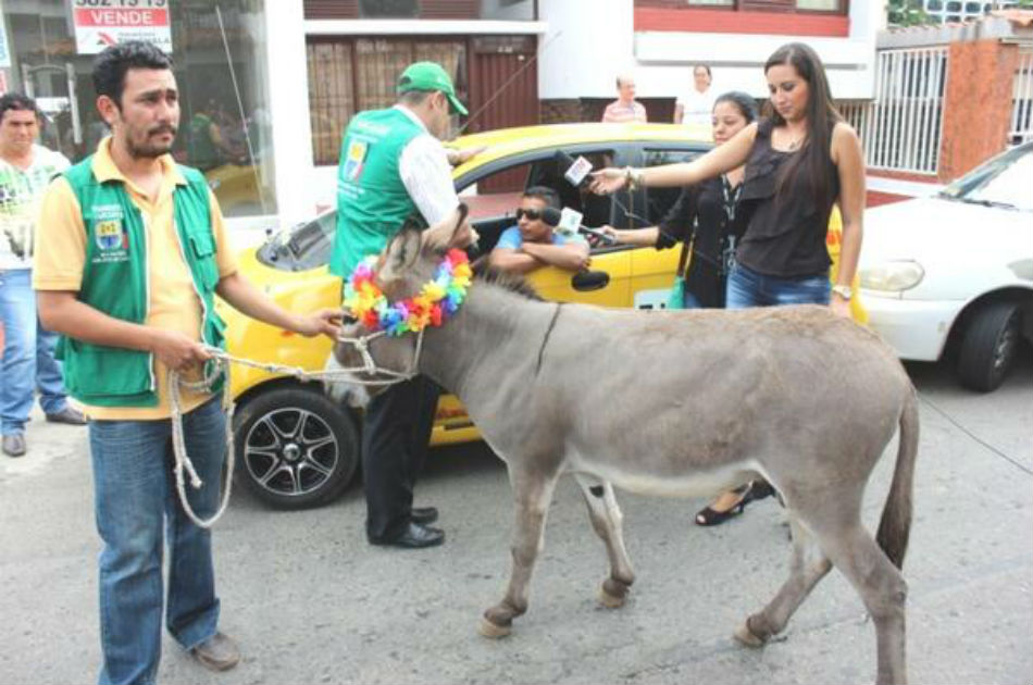 Vuelve el premio nacional ‘remula’