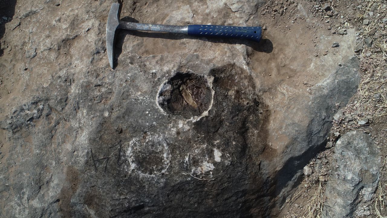 Hallaron más de 250 huevos de dinosaurio fosilizados en India
