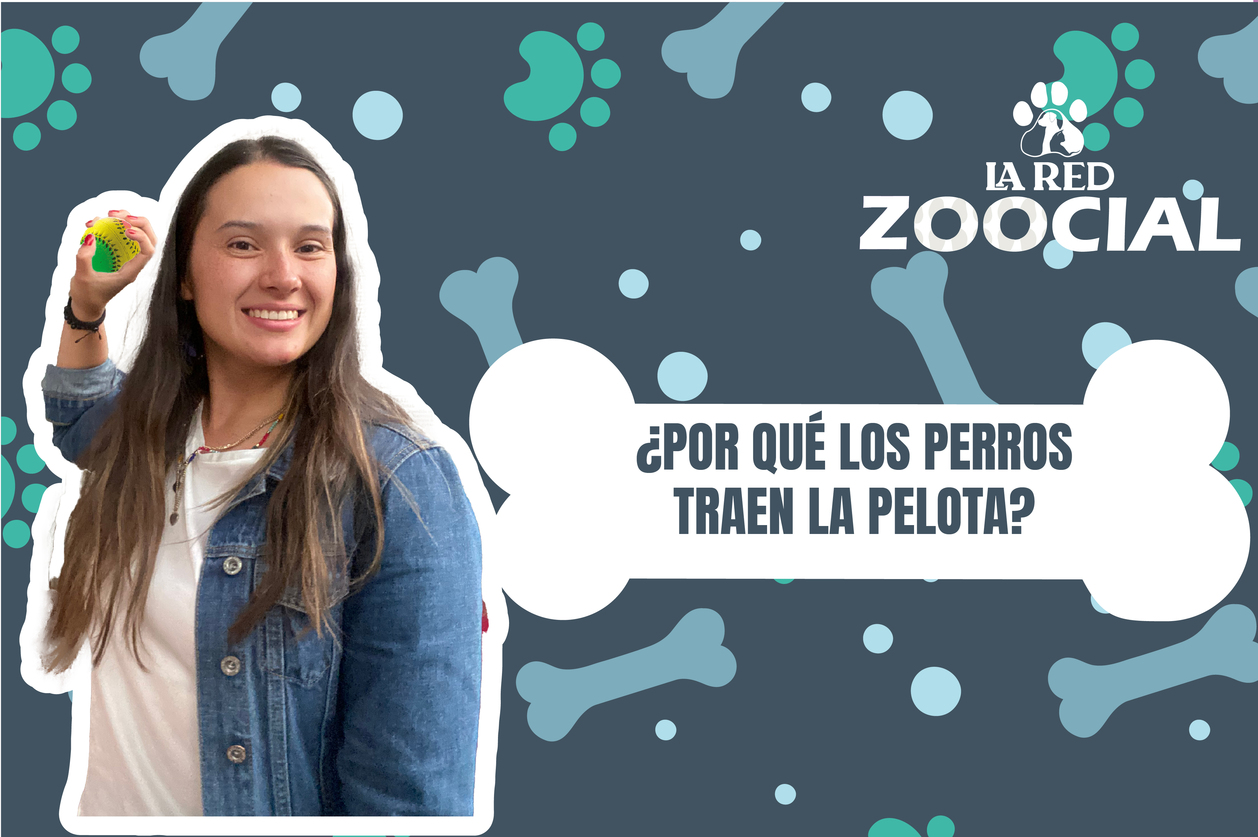 (VIDEO) Esta es la razón por las que los perros traen la pelota