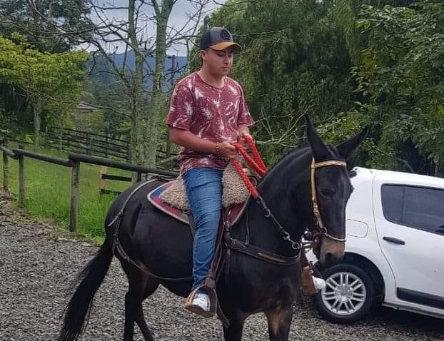 Encontraron cuerpo que sería de joven secuestrado en Ituango, Antioquia