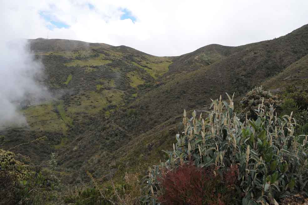 «En Santurbán solo se quedarán las mineras que ya tengan permiso para explotar»