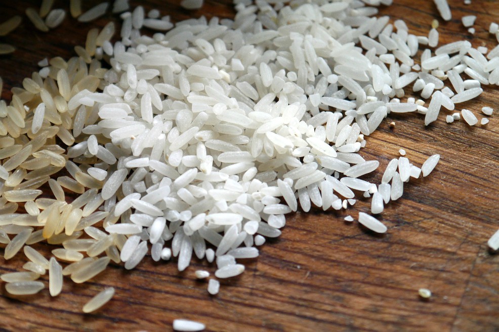 Colombia y Japón modifican arroz genéticamente para hacerlo más eficiente