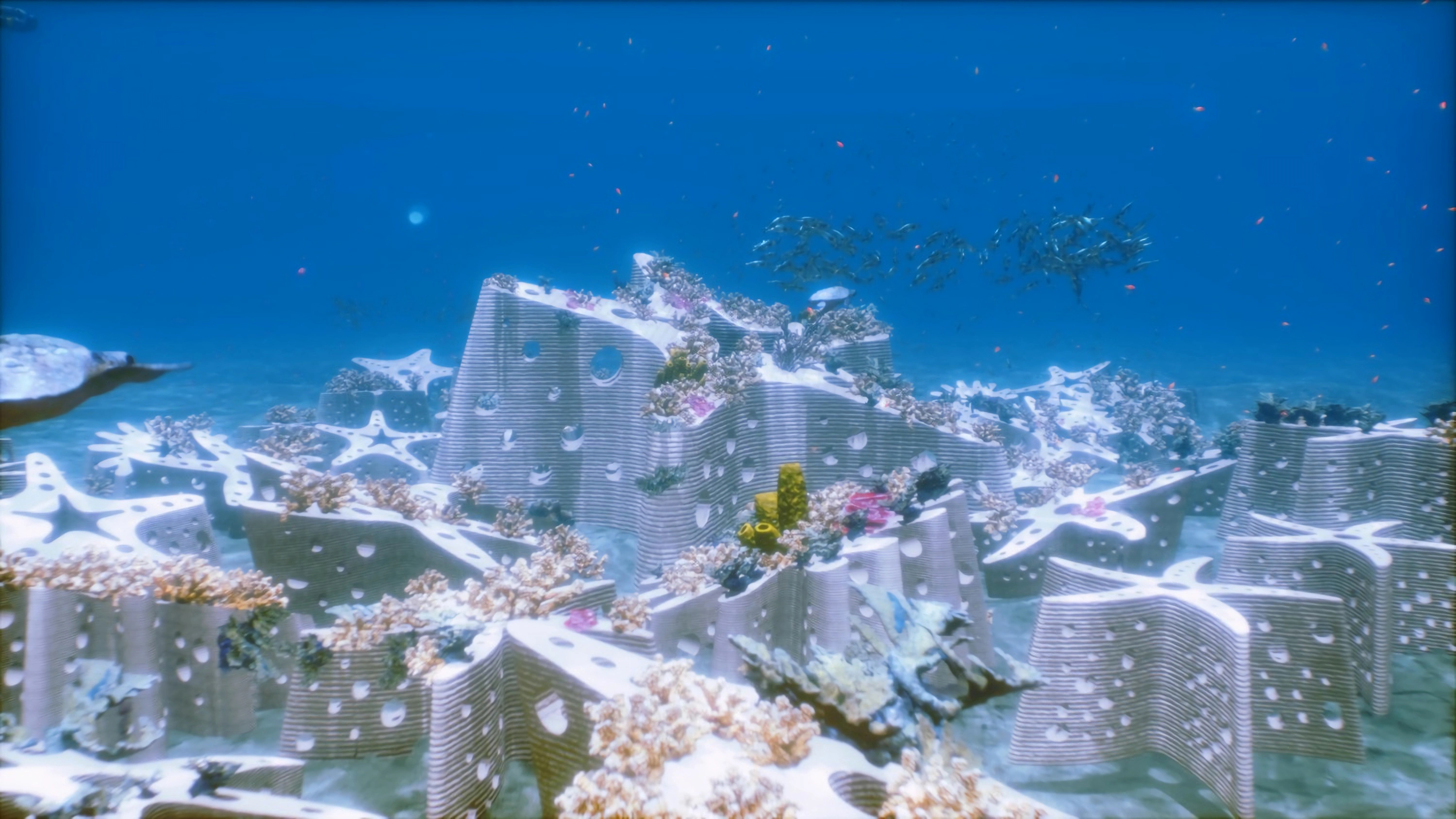 USA9580. MIAMI BEACH (FL, EEUU), 02/12/2024.- Fotografía cedida por The ReefLine de una captura de video de la instalación 'Miami Reef Star', una escultura del artista multidisciplinar Carlos Betancourt, instalada debajo del agua en la playa de Miami Beach, Florida (Estados Unidos). Miami se convierte desde este lunes en la capital mundial de la plástica contemporánea con el arranque de la Semana del Arte, la cita anual que atrae a cientos de galeristas, coleccionistas y público en general que recorre las decenas de ferias y exposiciones levantadas en esta ciudad del sur de Florida (EE.UU). EFE/The ReefLine /SOLO USO EDITORIAL /NO VENTAS /SOLO DISPONIBLE PARA ILUSTRAR LA NOTICIA QUE ACOMPAÑA /CRÉDITO OBLIGATORIO