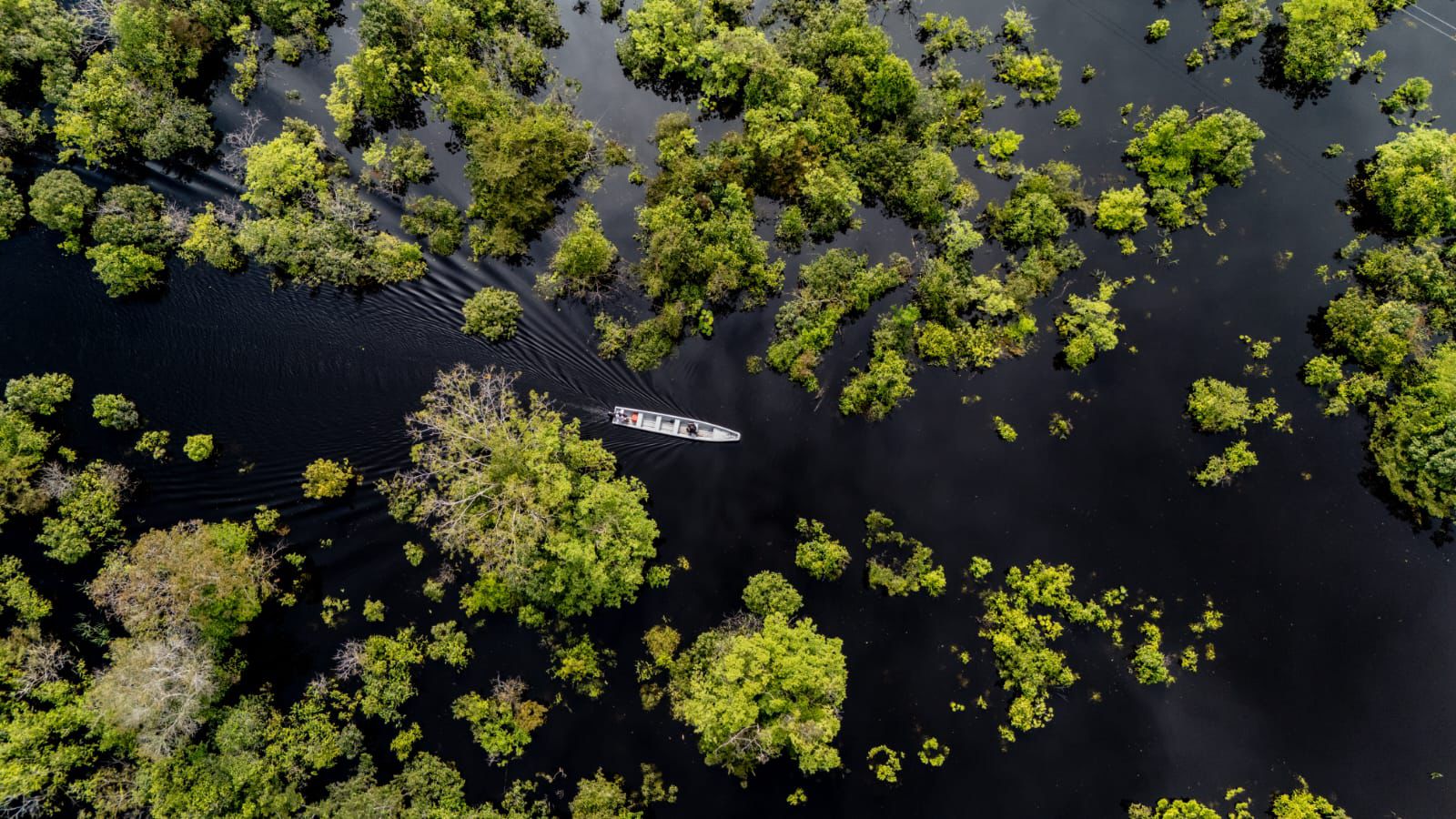 Estos son los incentivos para mitigar los riesgos de la acuicultura y pesca