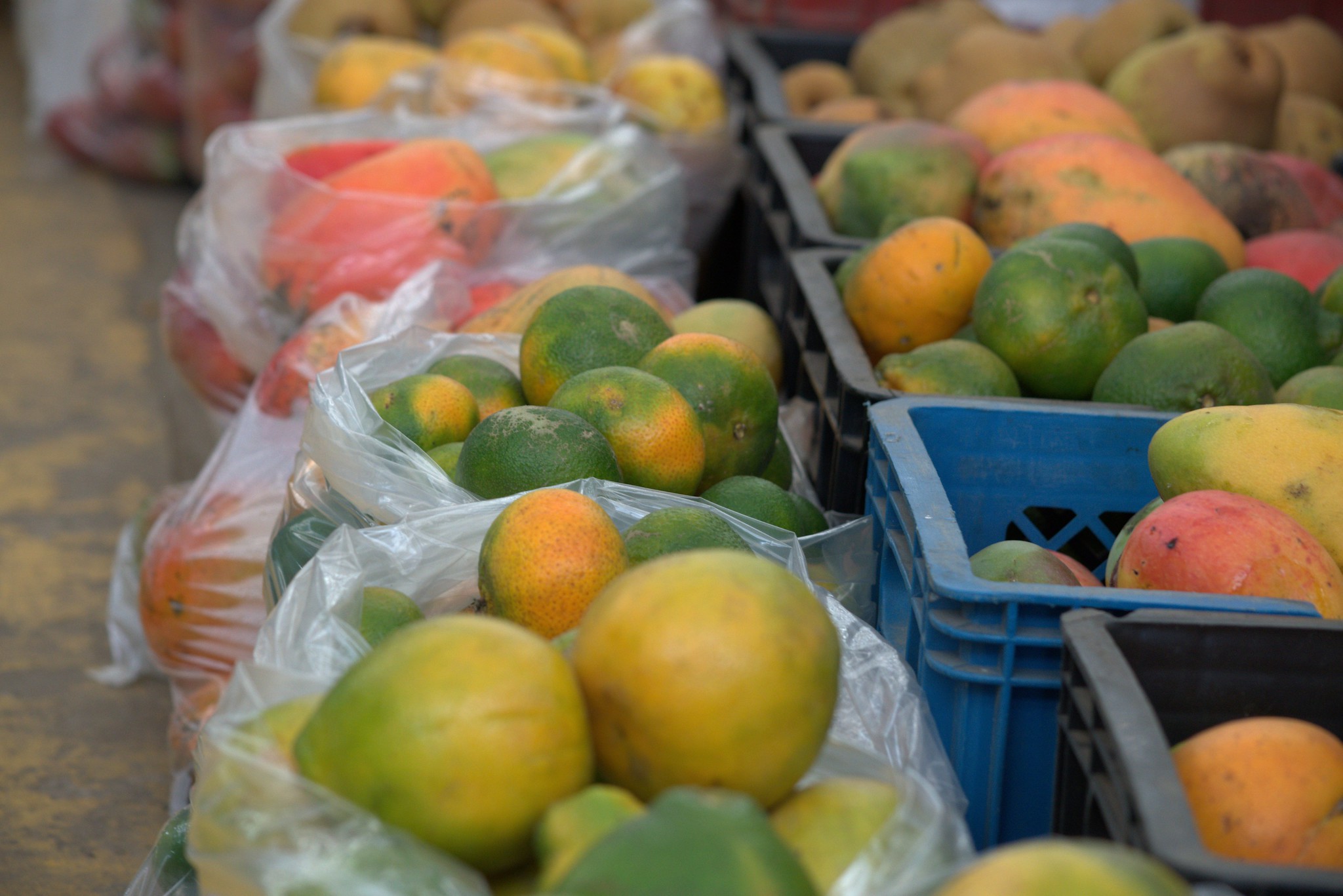 Octubre, un desafío creciente en la seguridad alimentaria