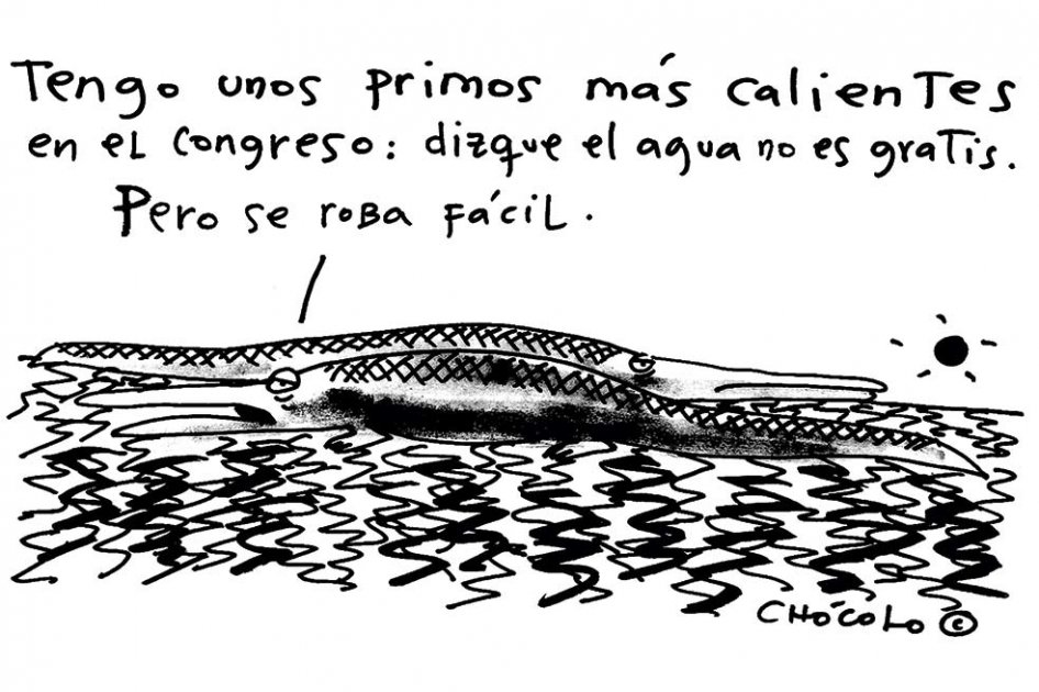 Chócolo